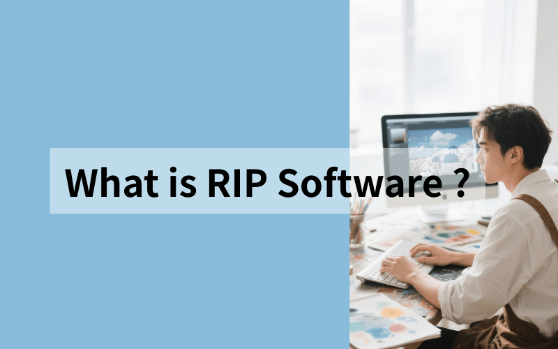 What is RIP Software?